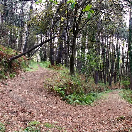 Rural Montesomao