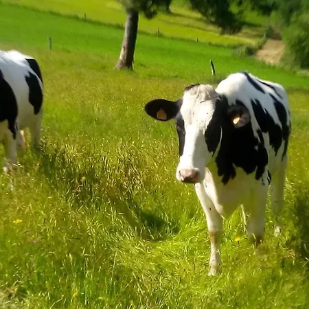 Rural Montesomao 소마도