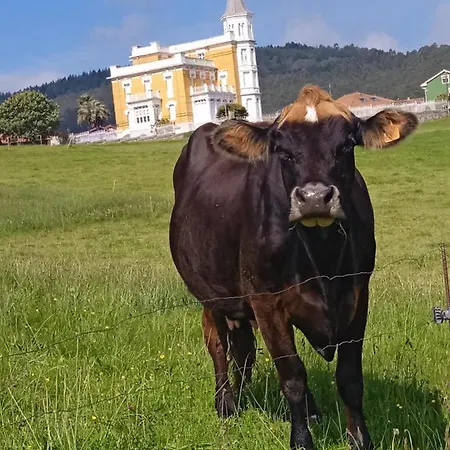 Rural Montesomao 2* 소마도